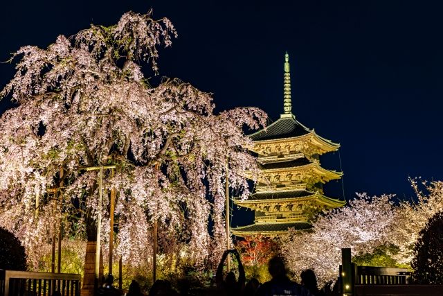 京都のさまざまな観光地へアクセスしやすく、休日は観光を満喫できます！
