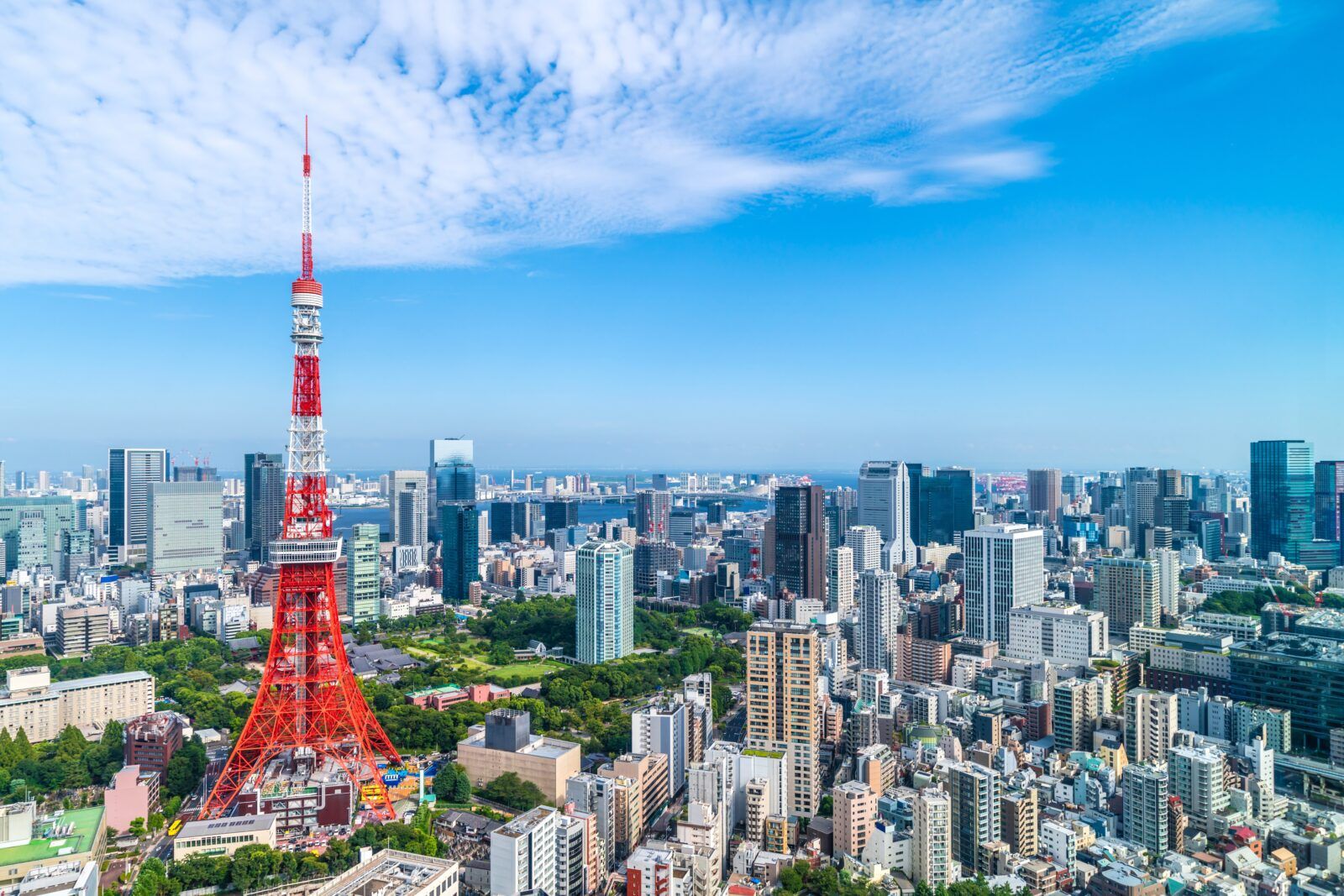 東京タワーの近くです！