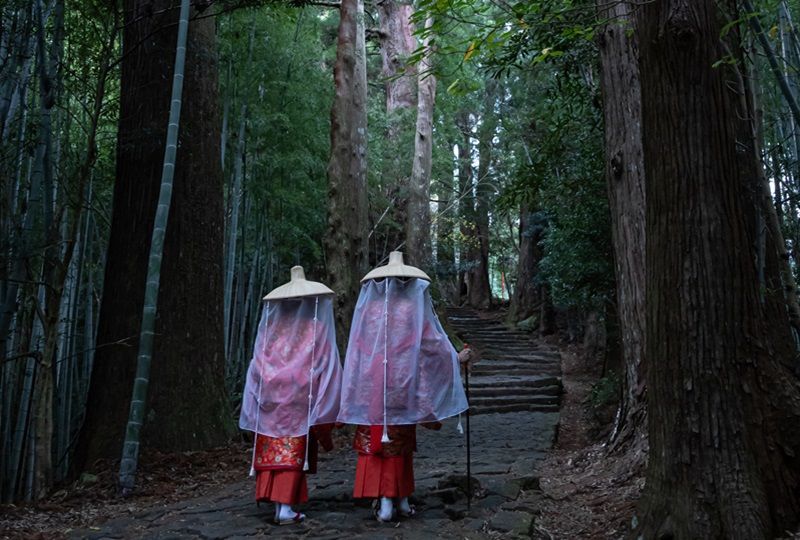 世界遺産「熊野古道」　日本三大古道の一つです