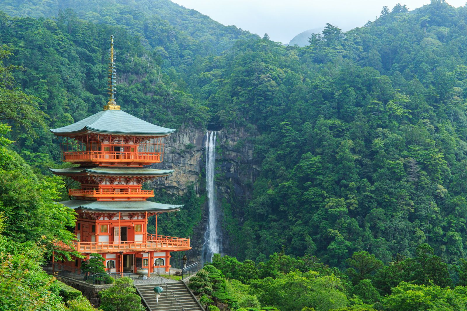 世界遺産が近くに複数あります！