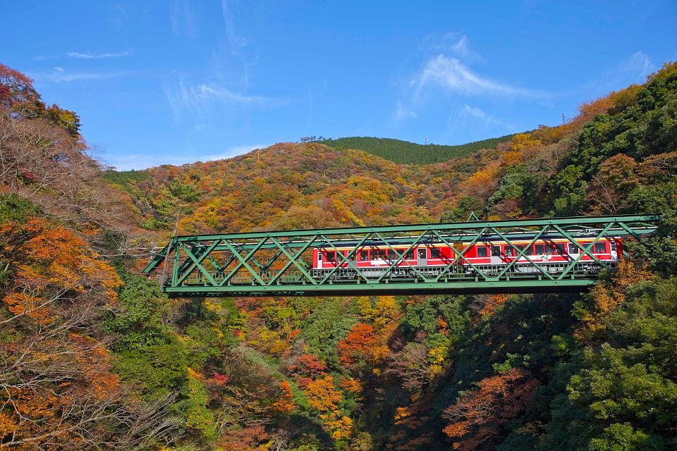 紅葉は一見の価値あり