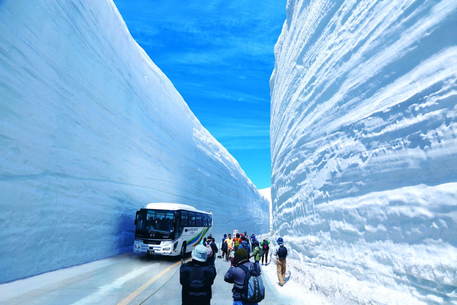 【立山黒部アルペンルート】：雪の大谷や室堂でのトレッキングは圧巻。