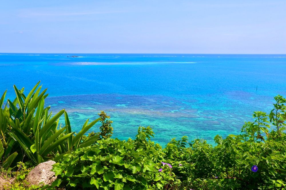 海も美しいエリアです！