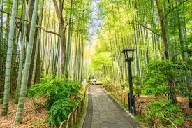 修善寺温泉