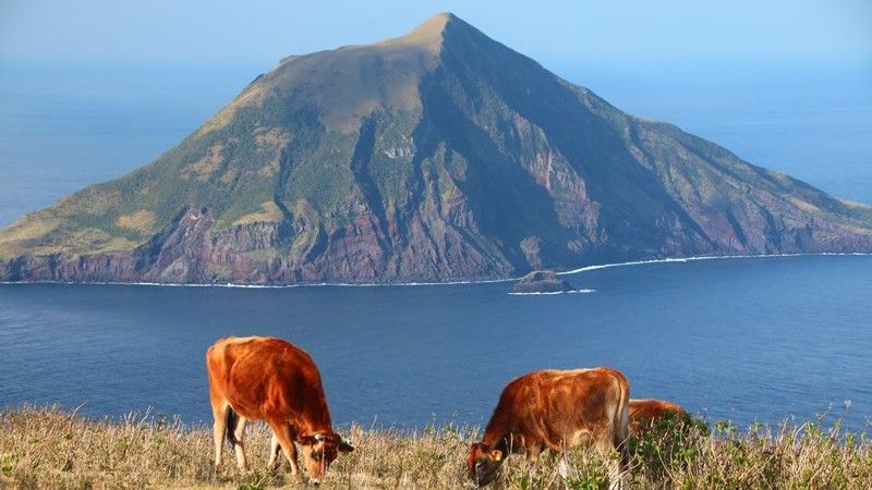 海と自然が魅力の八丈島