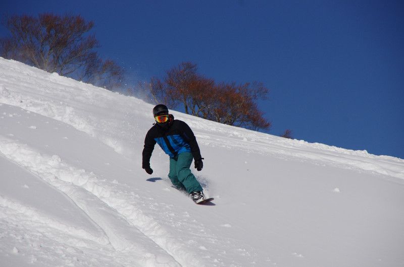 雪質サイコー