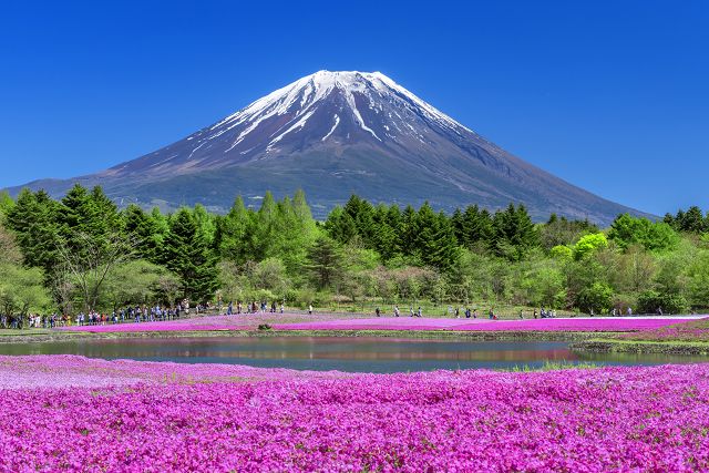 富士山もすぐ近くです！