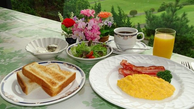 提供されている食事の様子