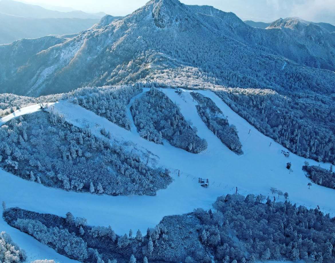 雪質がいいのでオススメ！