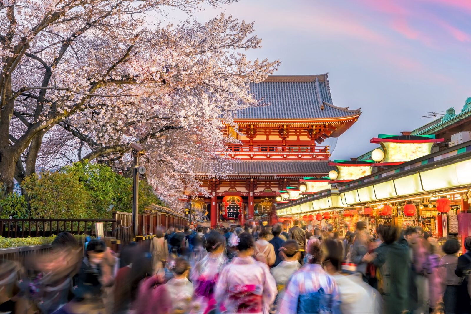 東京・浅草・両国で同時募集中！