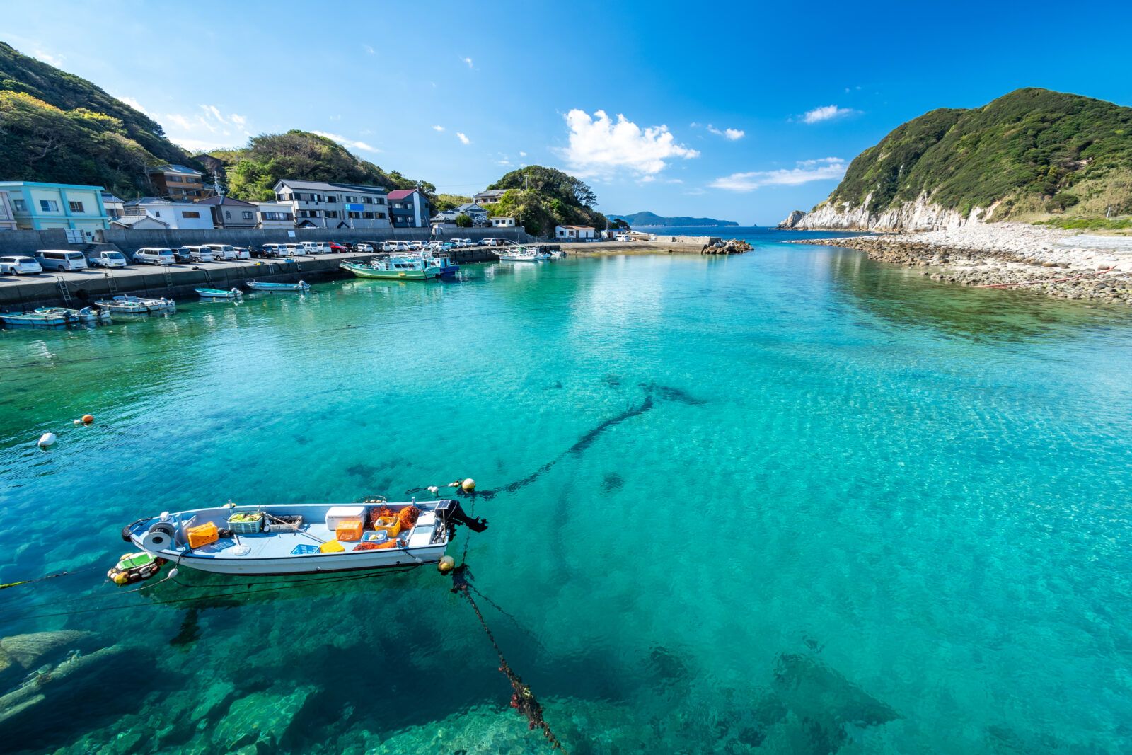 高知県の離島『柏島』です。綺麗な海と野生のイルカも見ることも！