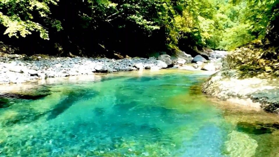 夏は川で！