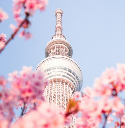 東京都内のお仕事です