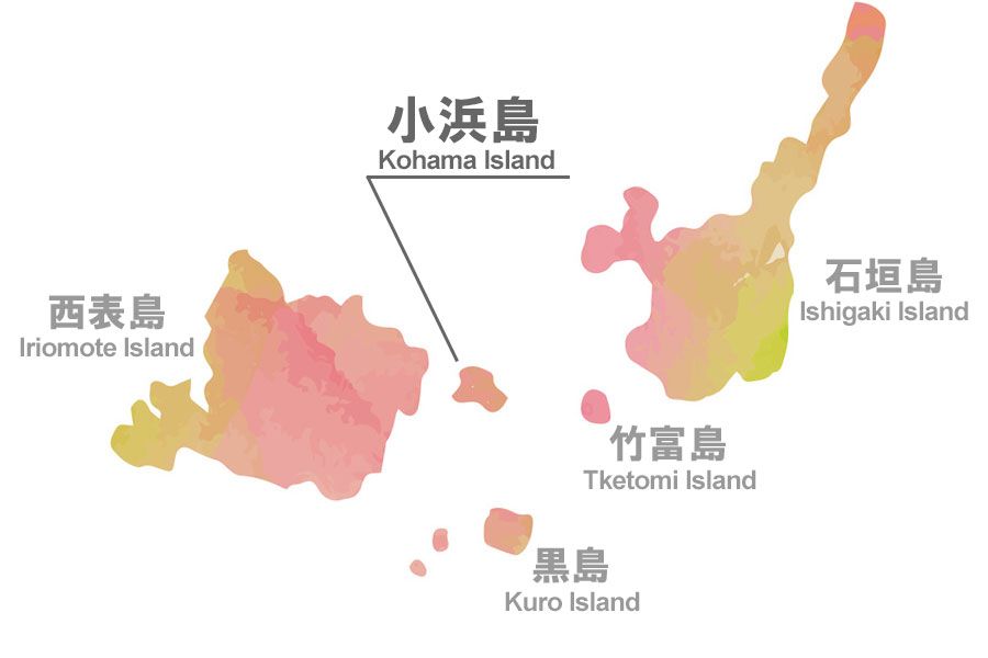 石垣島からフェリーで約30分！