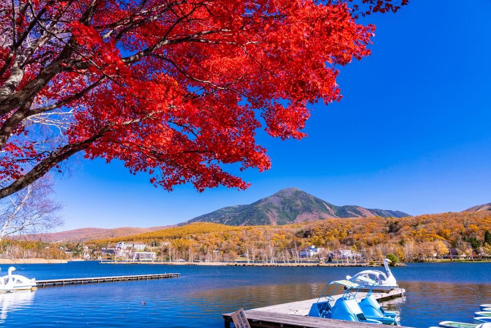 近くには白樺湖