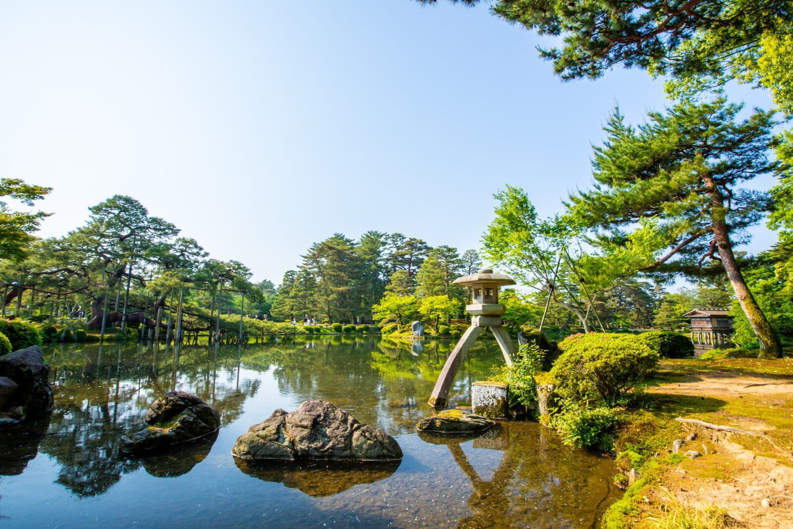 兼六園です。この機会に観光を！