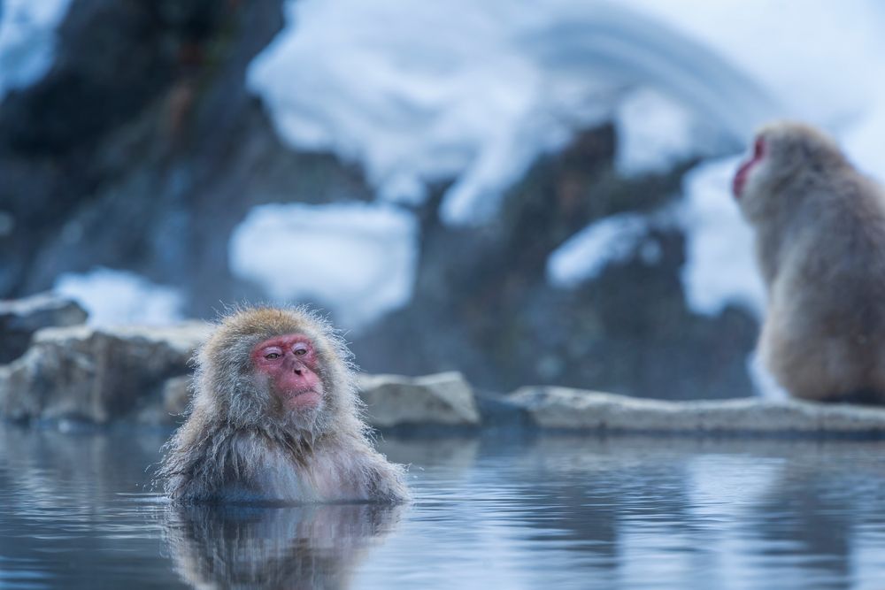 長野の中でも人気の温泉地です！