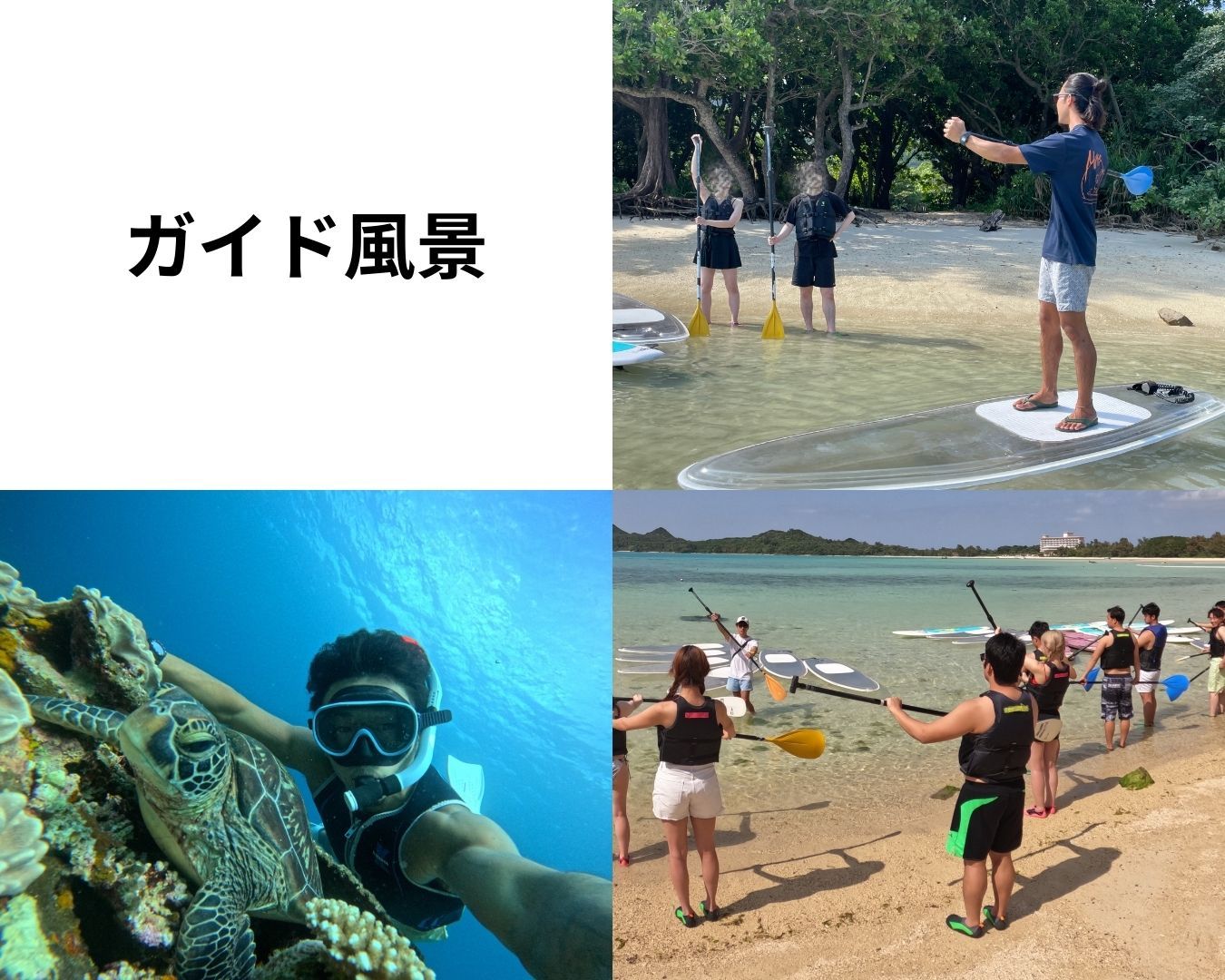 お仕事の様子