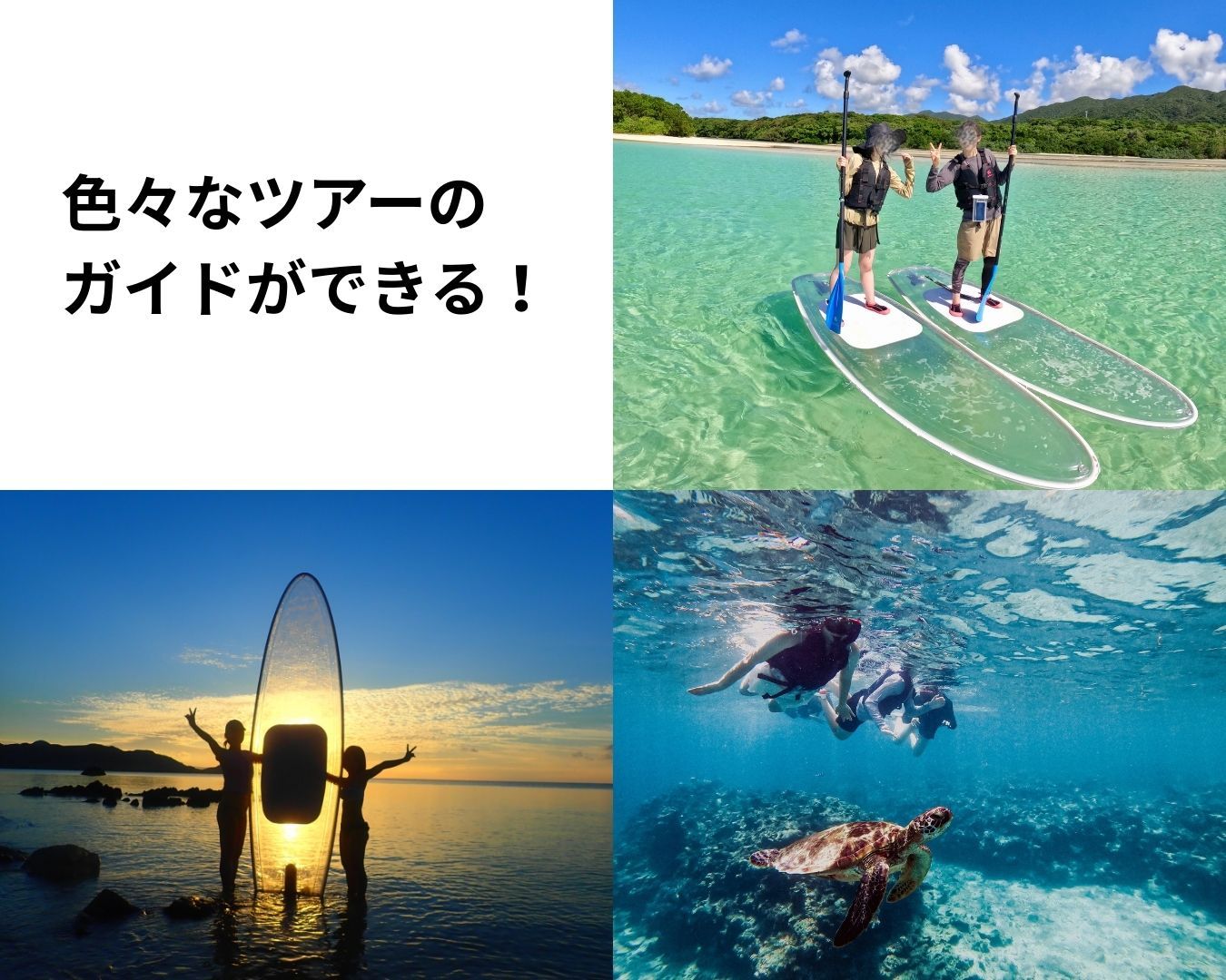 さまざまなガイドの経験ができます！