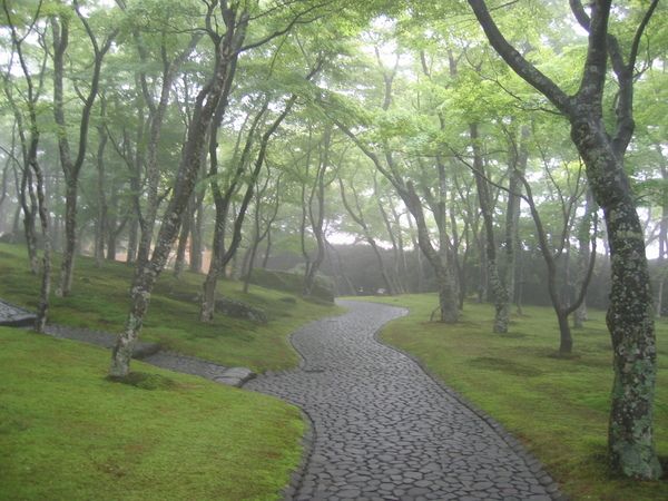 箱根は新緑が綺麗です