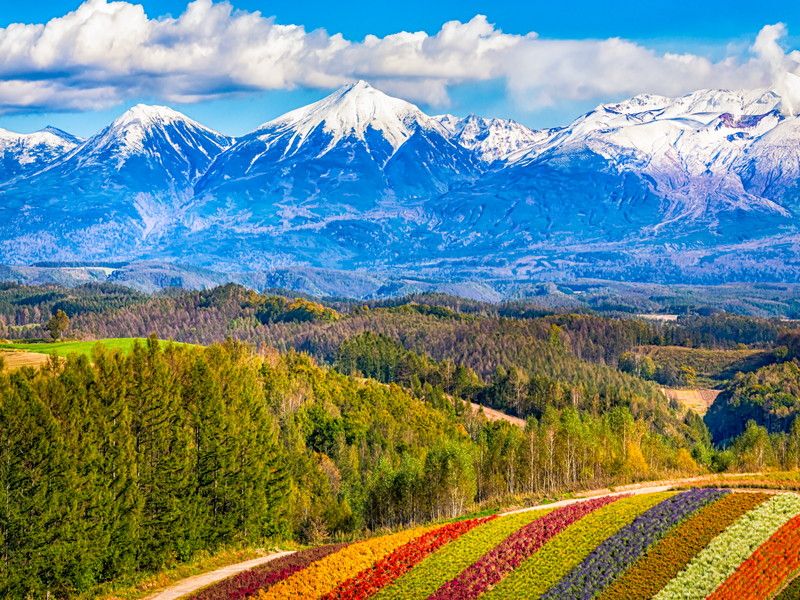 世界に誇れる素晴らしい風景が魅力。