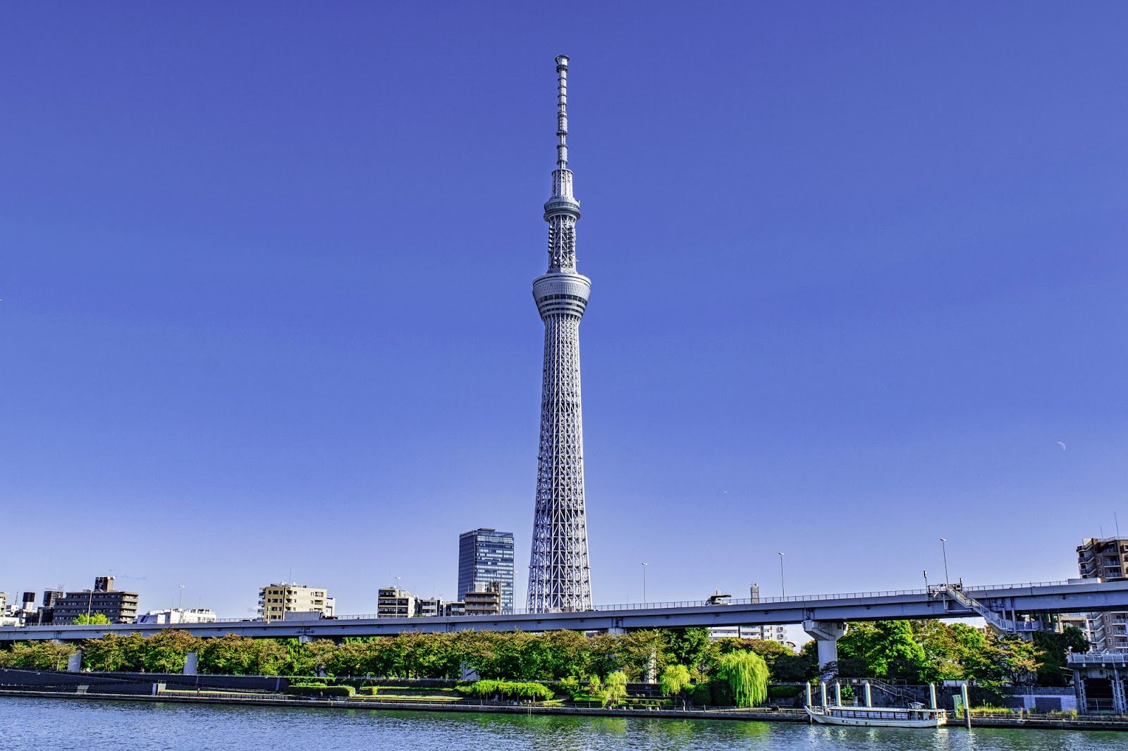 有名なスカイツリー