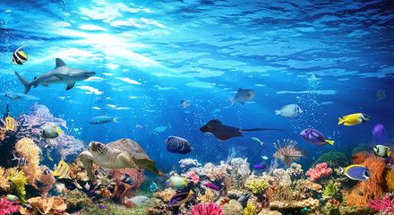 鳥羽水族館まで車で9分!