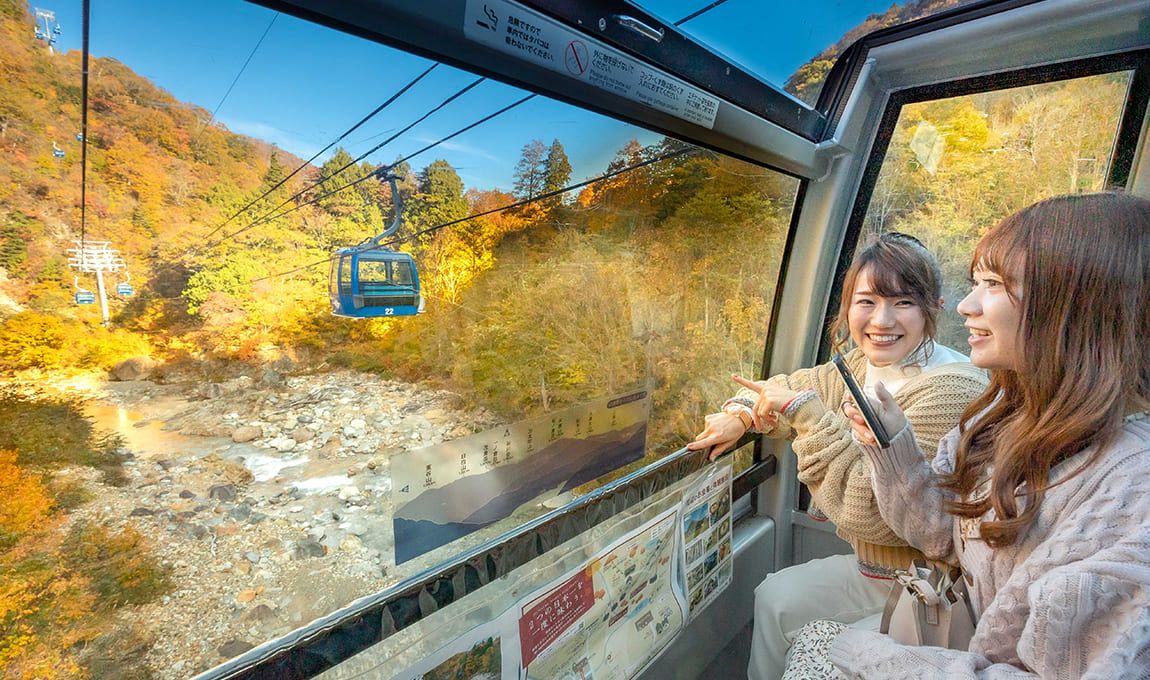 紅葉シーズン