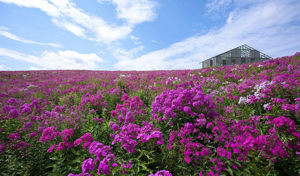 施設周辺観光地　春