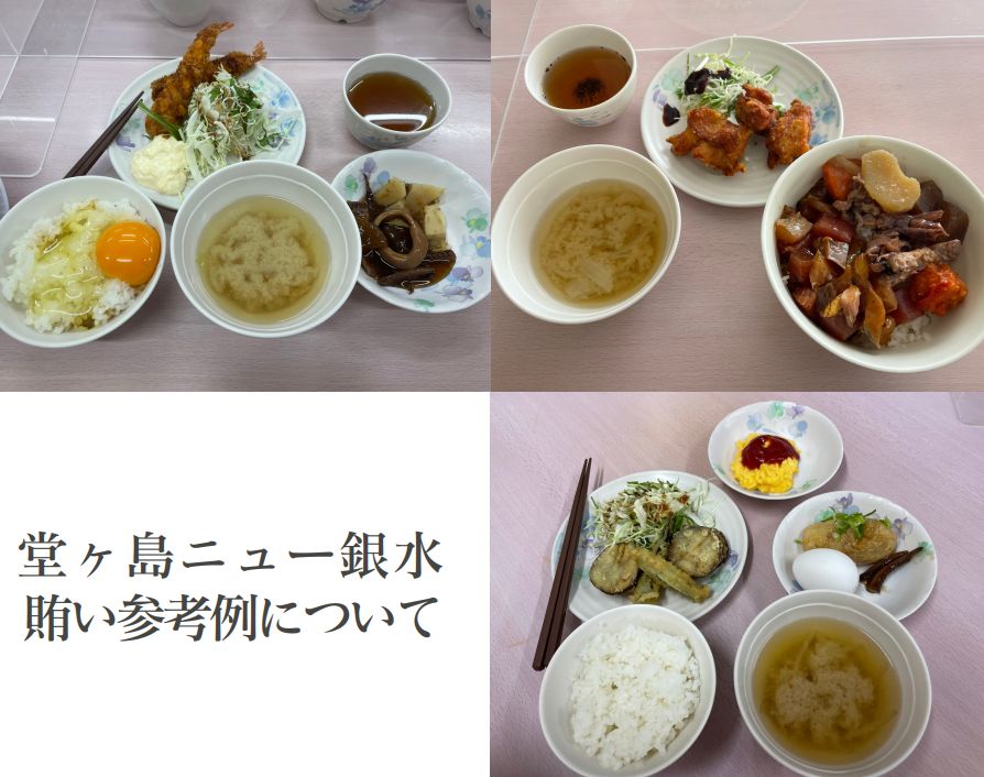 -----　賄い例----