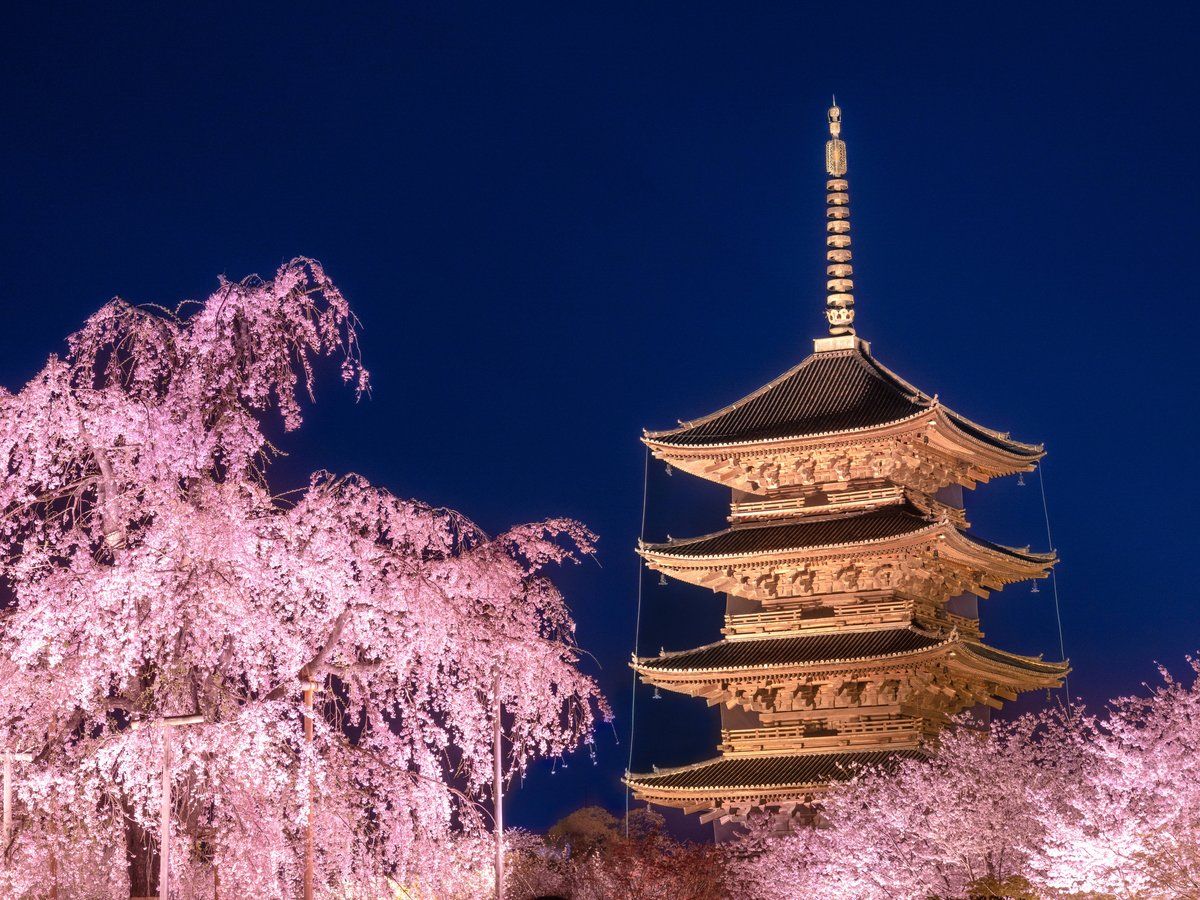 世界遺産「東寺」
