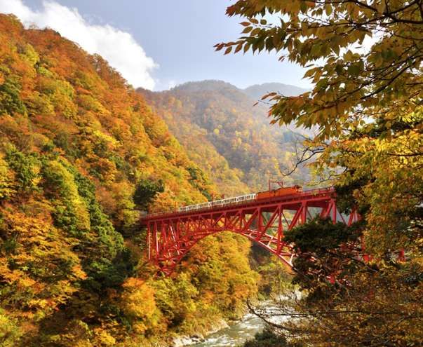 黒部市や富山県の各観光地めぐりにも便利な旅行の拠点になる温泉街です！