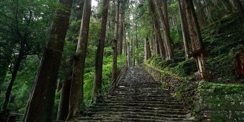 熊野古道