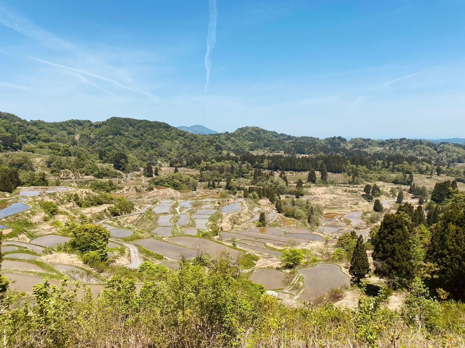1年を通して景色がきれいな新潟
