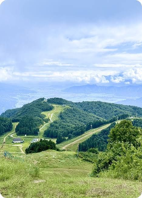 山頂からの景色