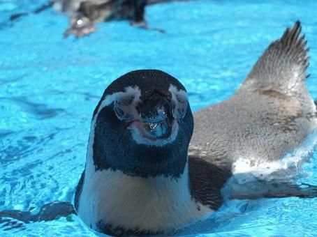 鳥羽水族館で気分もリフレッシュできます！