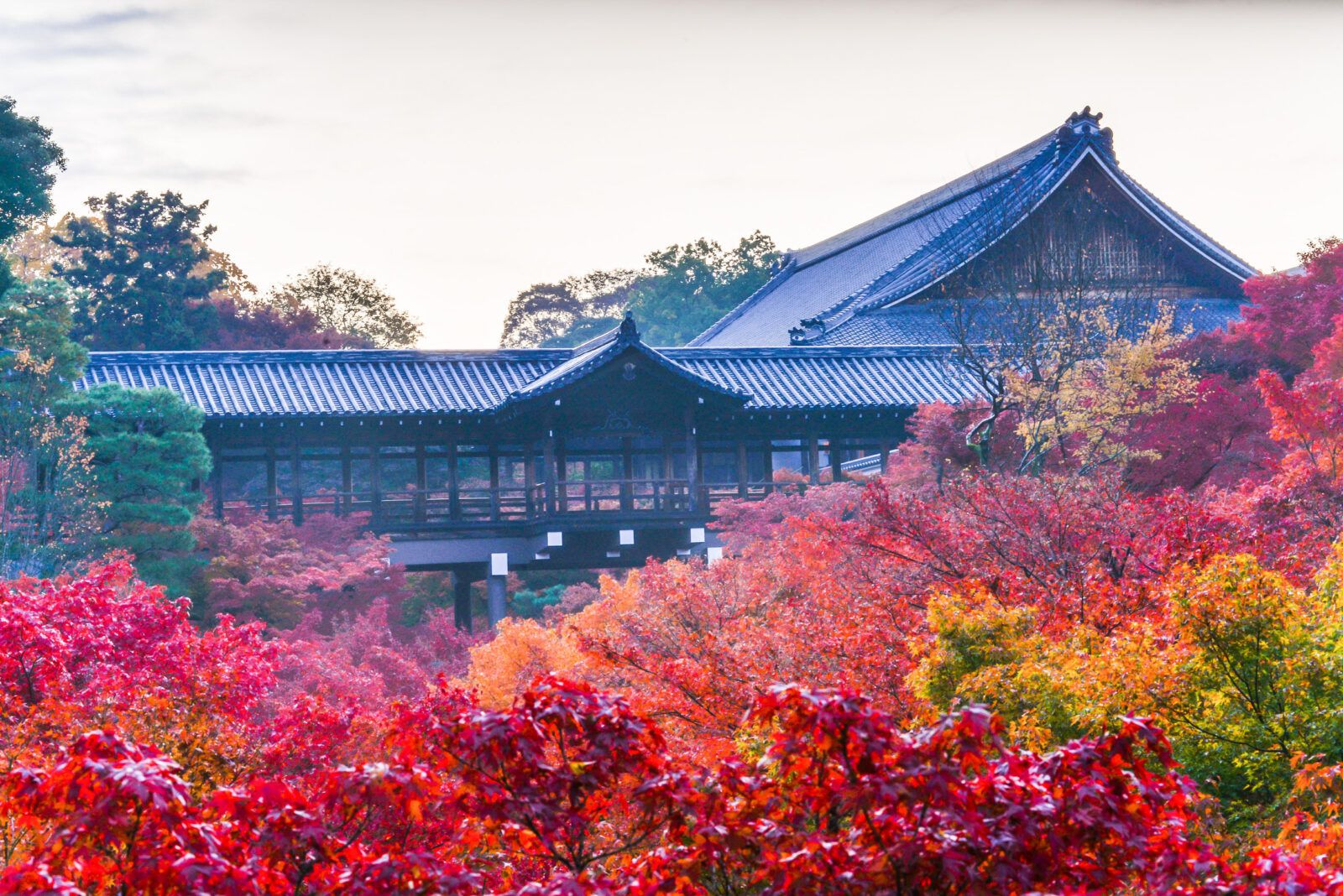 寮の近くには紅葉の名所　東福寺