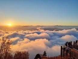 雲海も有名です