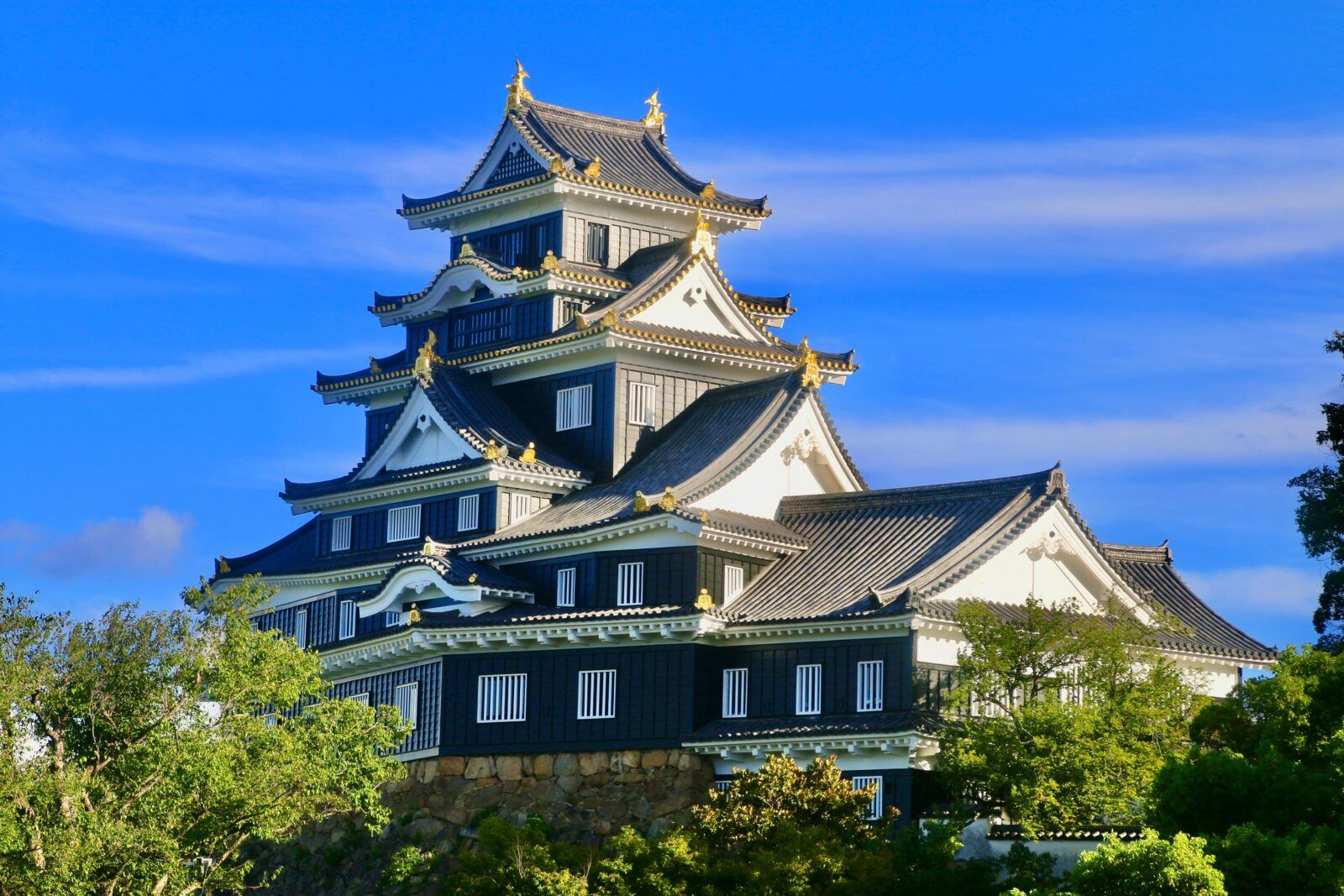 漆黒の天守が青空に映える、歴史を伝える美しい岡山城も見どころのひとつです！