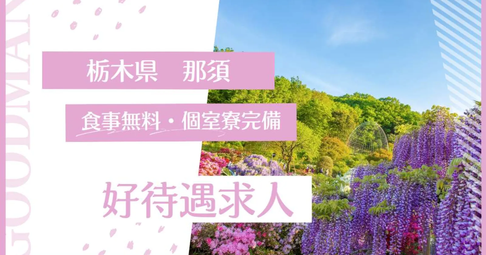 【仲間たくさん×アクセス抜群×周辺環境◎】グリーンシーズンスタート!都内までのアクセスも抜群。周辺環境も充実!生活環境抜群!