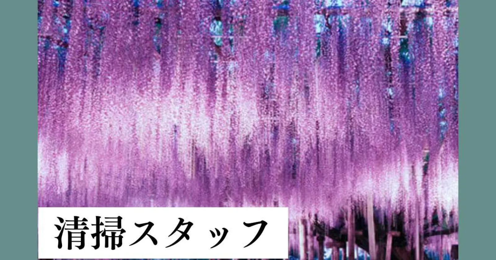 昨年2月オープンの新施設!のどかな温泉地で高待遇案件です!