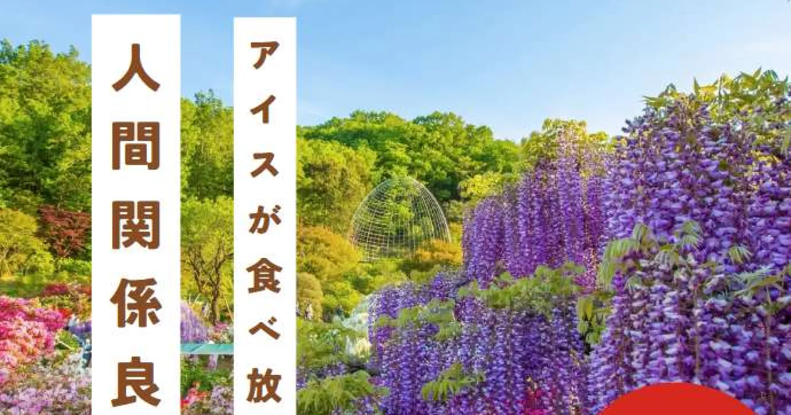 【未経験歓迎の稼げる求人はここ！】さらに生活費0円と高待遇でご案内中！
