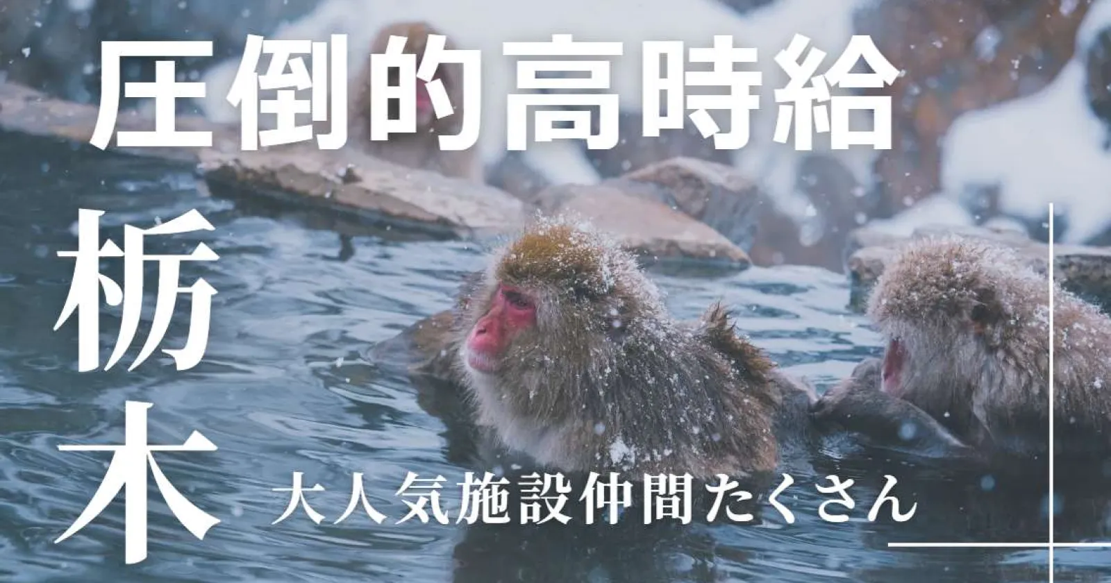 【未経験歓迎!×各種手当多数×人間関係良好】人気の洗い場職種!なんと今回は高時給でご案内!