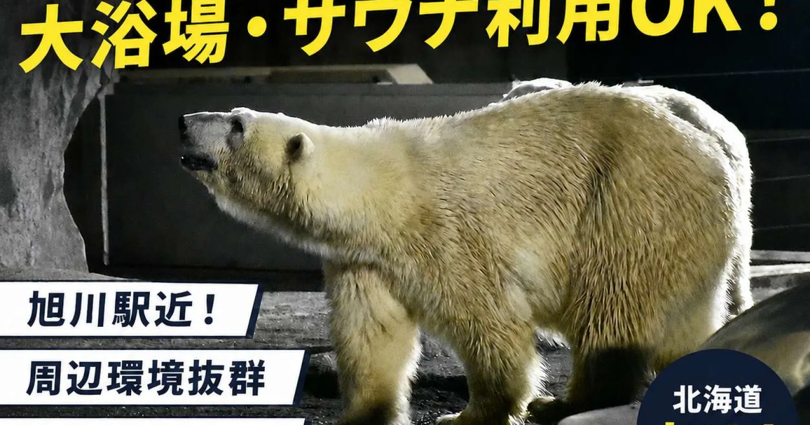【生活環境抜群】旭川駅近の都市型リゾートホテルで裏方業務！キレイな館内寮で過ごしやすい！