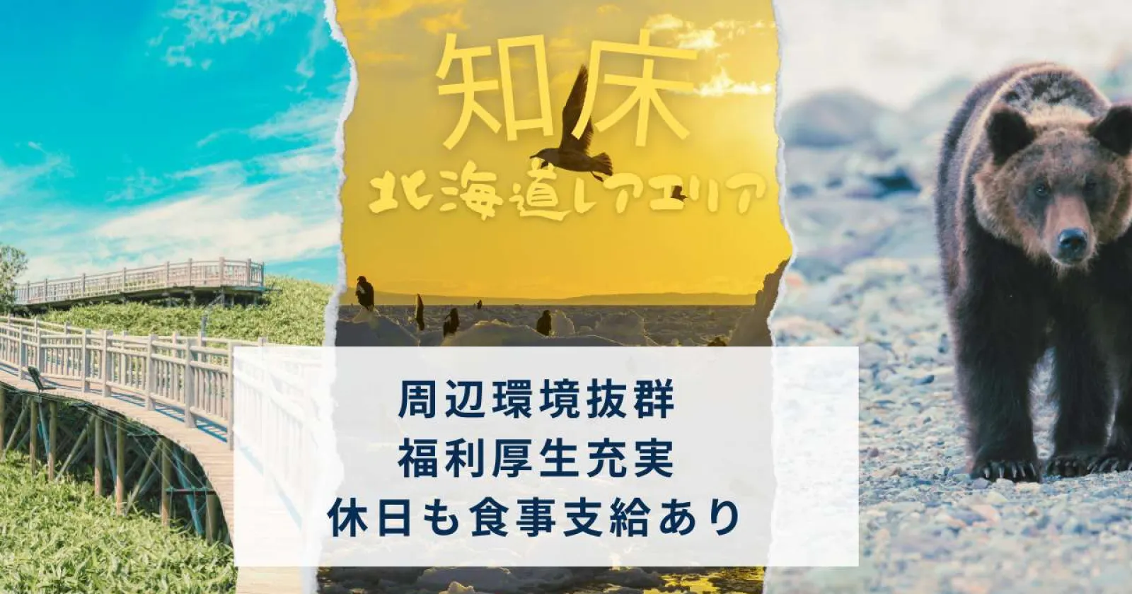 【完全個室寮・休日勤務日2食無料】世界遺産・知床のホテルでレストランサービス!