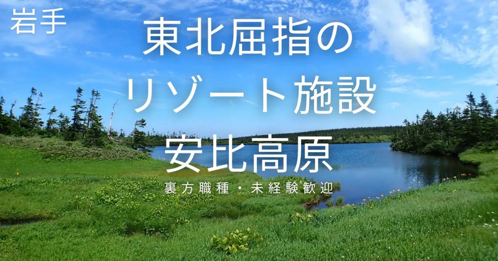 【寮費無料】東北屈指のBIGリゾートでレストランの洗い場業務