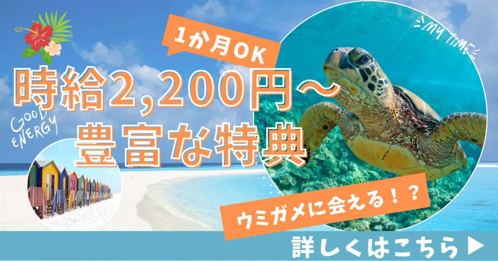 《短期1か月～OK》【離島でのお仕事 × 高時給2,200円～ × 未経験大歓迎 】ウミガメと120％あえる徳之島で超高時給のお仕事です！