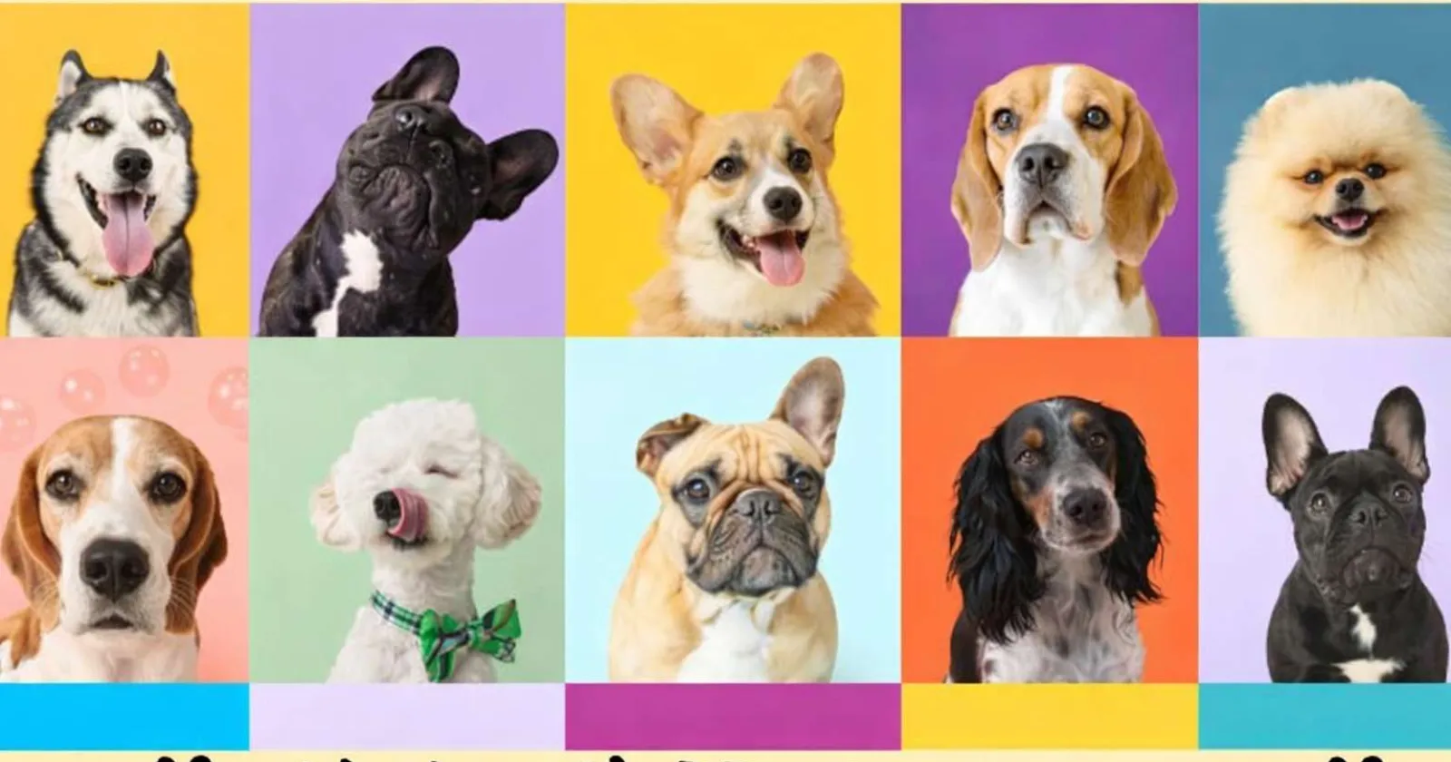 【寮費食費無料】犬好き必見!浜名湖のホテルでレストラン業務