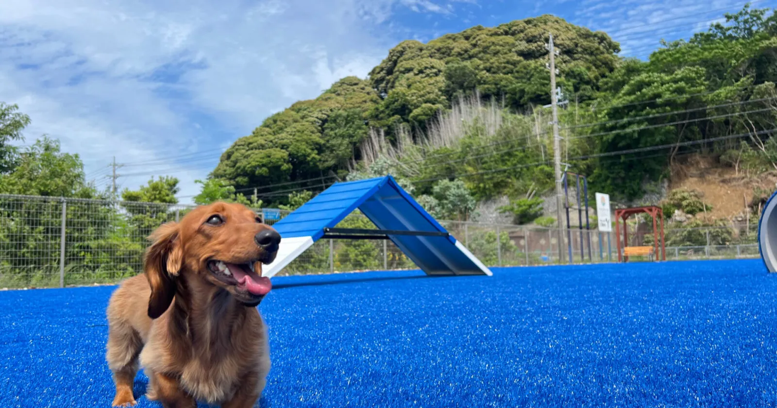 【寮費食費無料】犬好き必見!浜名湖のホテルでナイトフロント業務