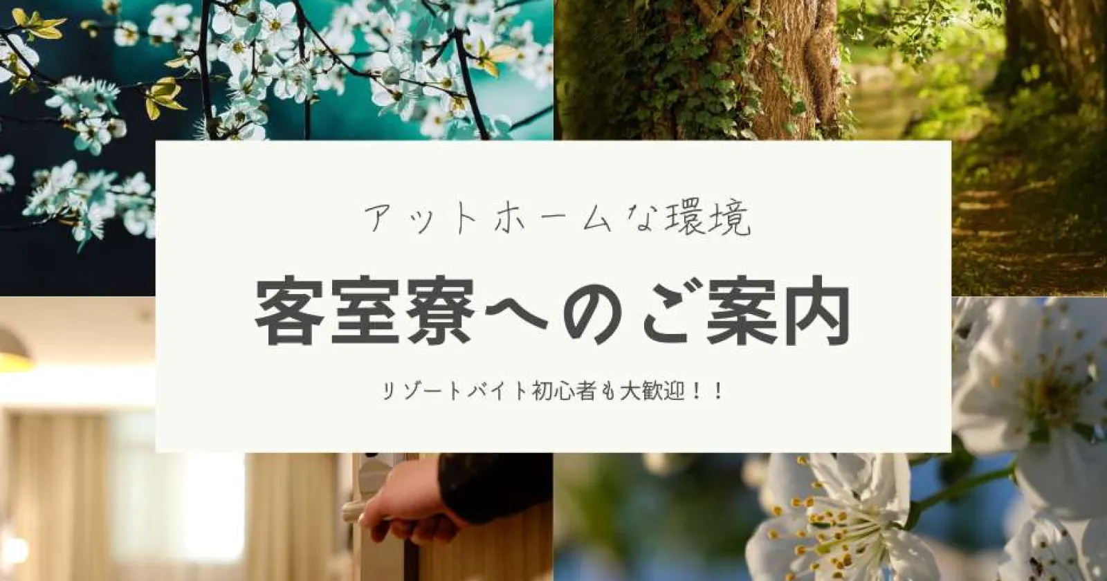 【未経験者歓迎】【採用率高め!】【休日も食事支給あり×客室寮完備×温泉利用可】アットホームな職場です!
